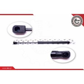 ESEN SKV 52SKV497 Kofferraum SKODA Fabia 1 Praktik (6Y5)