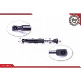 ESEN SKV 52SKV550 Kofferraum PEUGEOT 406 Coupe (8C)