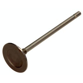 Comprar Válvula de escape de AMP PVWG010-A-0-N a bajo precio de 13,15&nbsp;&euro;