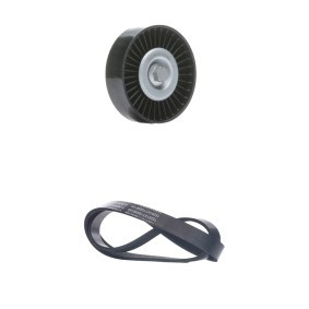 Compre Jogo de correias trapezoidais estriadas da RIDEX 542R0816 a um preço baixo por 20,84&nbsp;&euro;