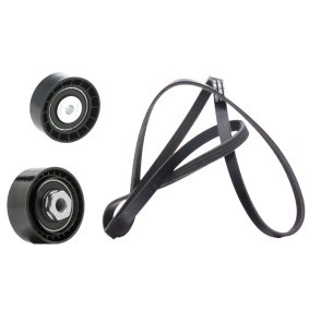 RIDEX 542R0835 Keilrippenriemensatz DACIA LOGAN (LS_)