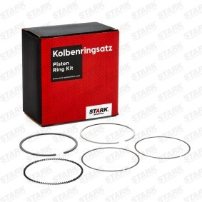 STARK SKPRK-1020199 Segmentos do motor RENAULT SCÉNIC