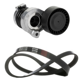 RIDEX 542R0845 Jogo de correia trapezoidal estriada RENAULT WIND