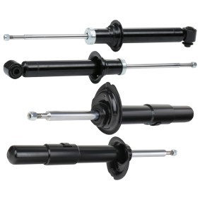 Compre Amortecedor da RIDEX 854S18208 a um preço baixo por 123,88&nbsp;&euro;