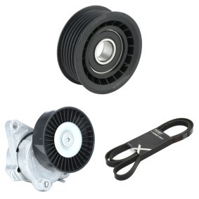RIDEX 542R0994 Kit de courroie d'accessoire MERCEDES-BENZ Classe M