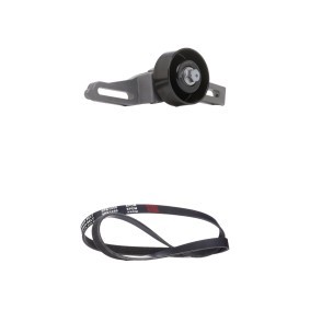 RIDEX 542R1053 Keilrippenriemensatz CITROËN Berlingo / Berlingo First (MF, GJK, GFK)