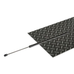 Compre Amortecedor da mala da RIDEX 219G1064 a um preço baixo por 10,00&nbsp;&euro;