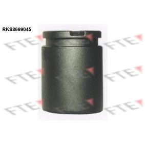 Comprar Émbolo, pinza del freno de FTE 9313103 a bajo precio de 19,88&nbsp;&euro;