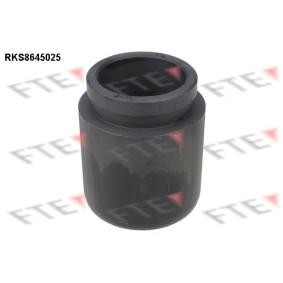 Comprar Émbolo, pinza del freno de FTE 9313400 a bajo precio de 22,24&nbsp;&euro;