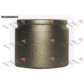 Comprar Émbolo, pinza del freno de FTE 9313512 a bajo precio de 26,04&nbsp;&euro;