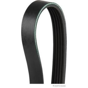 HERTH+BUSS JAKOPARTS J1051750 Keilrippenriemen RENAULT THALIA 2 (LU1/2) 1.4 75 PS Otto