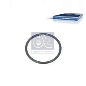 DT Spare Parts 4.20130 Guarnizione termostato MERCEDES-BENZ CLC