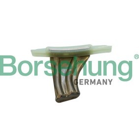 Borsehung B1G050 Carril de deslizamiento MINI Paceman (R61) 1.6 116 cv Motor otto