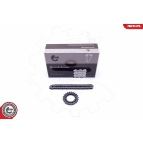 ESEN SKV 21SKV100 Corrente de transmissão RENAULT KOLEOS
