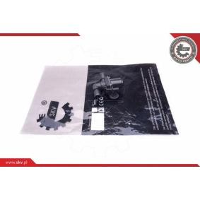 Acquista Valvola regolazione refrigerante da ESEN SKV 96SKV913 a buon mercato per soli 127,35&nbsp;&euro;