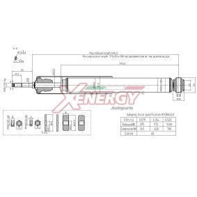 Compre Amortecedor da AP XENERGY X177553 a um preço baixo por 34,61&nbsp;&euro;