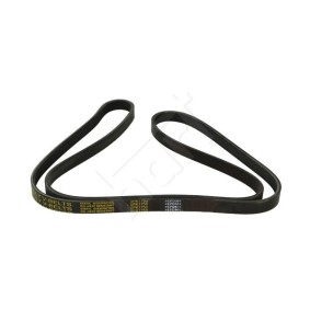 HART 338 066 Keilrippenriemen RENAULT THALIA 2 (LU1/2) 1.4 75 PS Otto