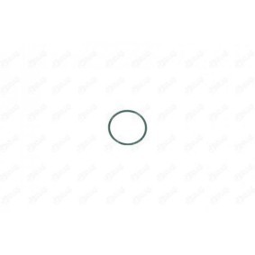 Ladeluftschlauch-Dichtung 19951 VOLVO C30 von IBRAS