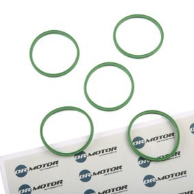 DR.MOTOR AUTOMOTIVE DRM01135 Junta anular, conducto aire admisión SKODA