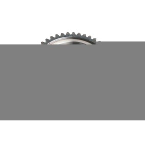 Oyodo 60R0523-OYO Nockenwellenversteller KIA RIO