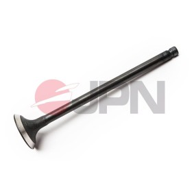 JPN 70M0500-JPN Válvula de admisión HYUNDAI ATOS (MX)