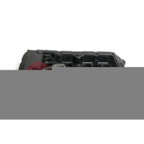 JPN 80R9011-JPN Tapa de balancines MINI Paceman (R61) 1.6 116 cv Motor otto