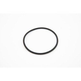 Dichtring, Radnabe von IVECO günstig für 26,55&nbsp;&euro;