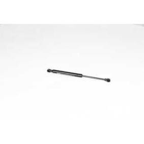 Heckklappendämpfer für RENAULT von BSG