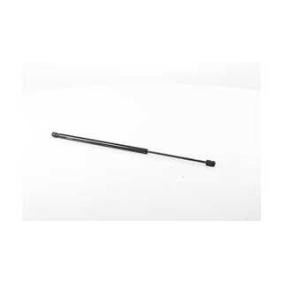 Heckklappendämpfer für RENAULT von BSG