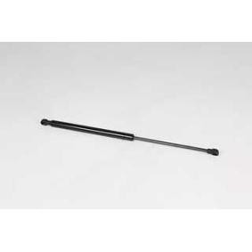 Heckklappendämpfer für RENAULT von BSG