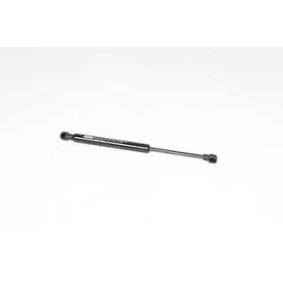 Heckklappendämpfer für RENAULT von BSG