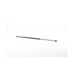 Heckklappendämpfer für RENAULT von BSG