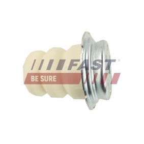 FAST FT18260 Bagbro FORD