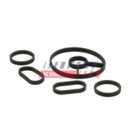 FAST FT48931 Retentor de radiador de óleo FIAT SCUDO