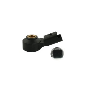 FAST FT75585 Klopfsensor CITROËN C2 Schrägheck (JM)