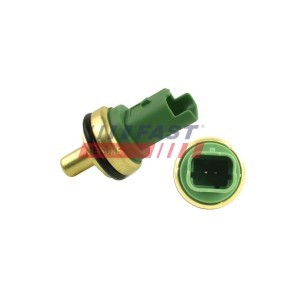 FAST FT80152 Zylinderkopf CITROËN C5 3 (RD) 1.6 109 PS Diesel