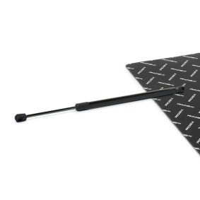 RIDEX 219G1084 Mala MERCEDES-BENZ Classe C