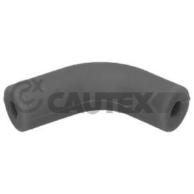 CAUTEX 771656 Tubo flexível, respiro do cárter da cambota RENAULT KOLEOS