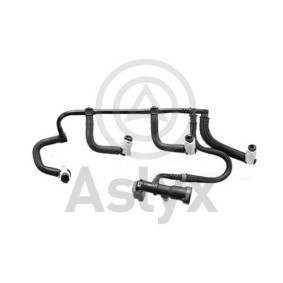 Aslyx AS-592025 Schlauch, Leckkraftstoff RENAULT Megane 4 Schrägheck (B9A/M/N_)