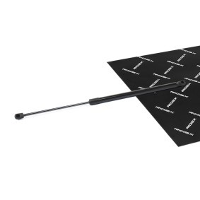 Osta Kaasujousi, tavaratila RIDEX:llä 219G1109 edullisesti hintaan 12,56&nbsp;&euro;