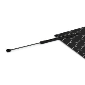 RIDEX 219G1111 Bagasjerom MERCEDES-BENZ E-Klasse