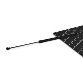 RIDEX 219G1119 Coffre à bagages FORD FIESTA