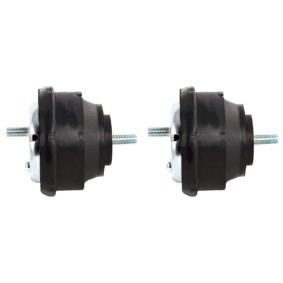 RIDEX 247E0974 Motorlager BMW Z8