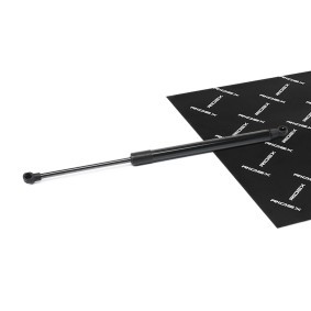 Heckklappendämpfer für SMART von RIDEX