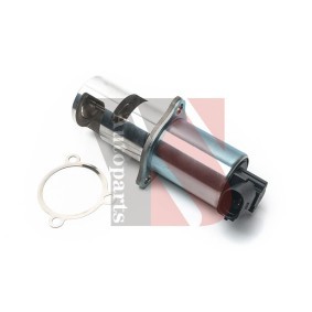 AGR-Ventil EGRA009 für RENAULT