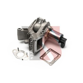 AGR-Ventil EGRA132 für RENAULT