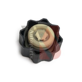 YSPARTS YS-YXG110 Ausgleichsbehälter CITROËN C3 I Schrägheck (FC_, FN_) 1.4 67 PS Otto