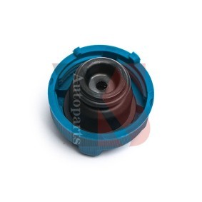 YSPARTS YS-YXG126 Ausgleichsbehälter FIAT GRANDE PUNTO (199) 1.3 69 PS Diesel