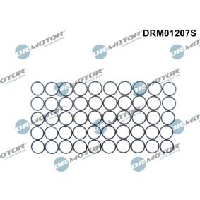DR.MOTOR AUTOMOTIVE DRM01207S Dichtung Einspritzdüsen SEAT Leon Schrägheck (1P1) 2.0 136 PS Diesel