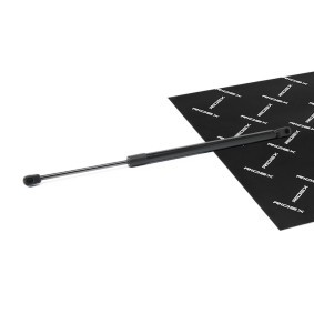 Heckklappendämpfer 219G1140 für FORD